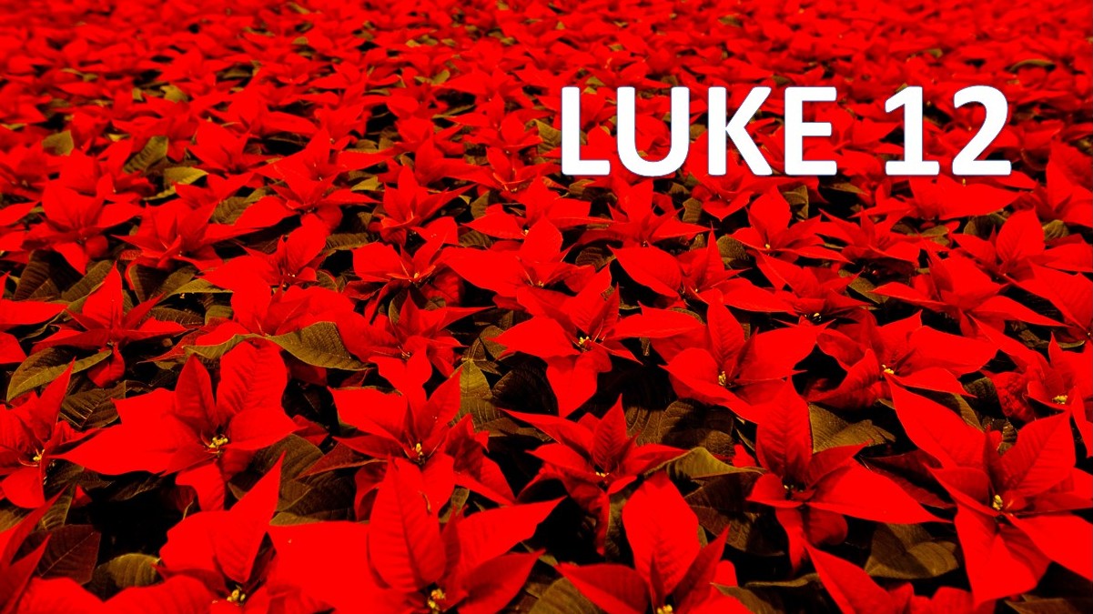 Luke 12